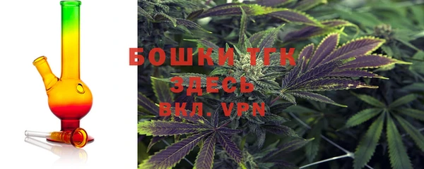 ГАЛЛЮЦИНОГЕННЫЕ ГРИБЫ Надым