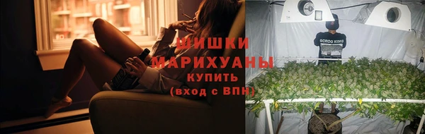 прущие грибы Навашино