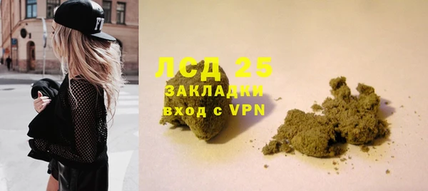 прущие грибы Нефтекумск