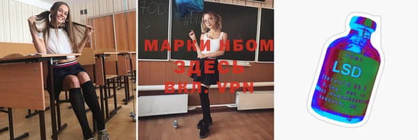 прущие грибы Навашино
