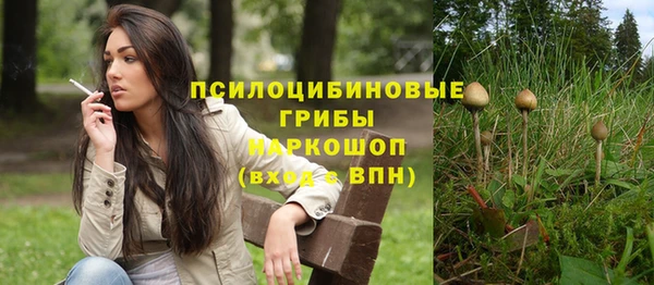 прущие грибы Навашино