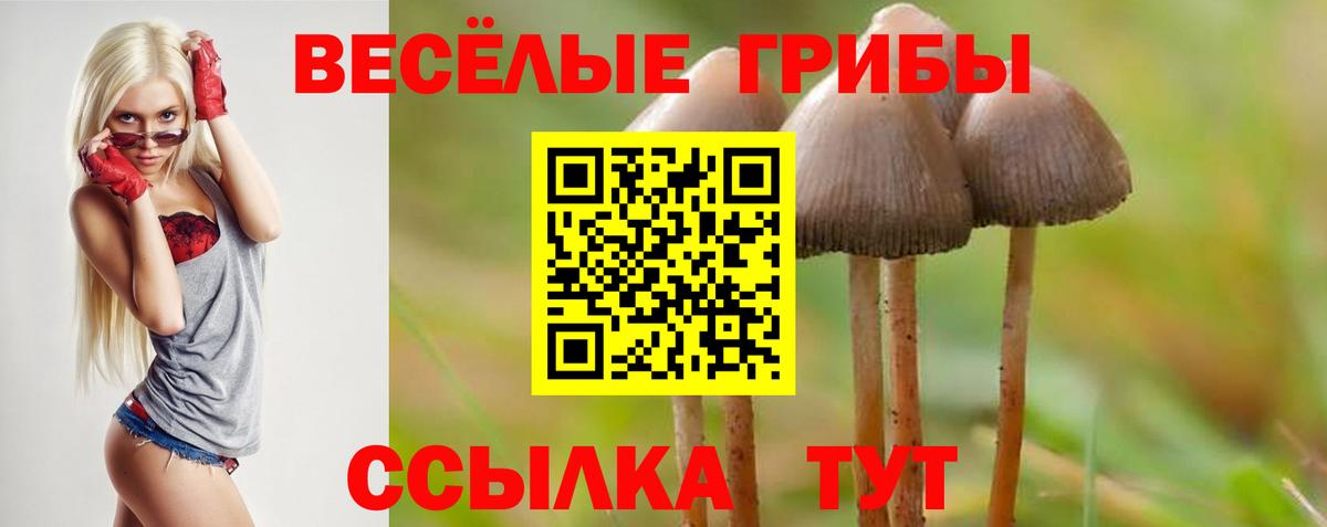 Псилоцибиновые грибы Psilocybine cubensis Астрахань